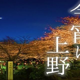 ＊10/12＊【初めての方歓迎！】上野の名店精養軒で料理の交流会・とろける旨さを一緒に楽しみませんか♪♪♡ - メンバー募集