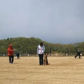 しつけ教室も始めます！神戸愛犬美容専門学院