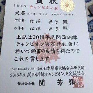 しつけ教室も始めます！神戸愛犬美容専門学院の画像