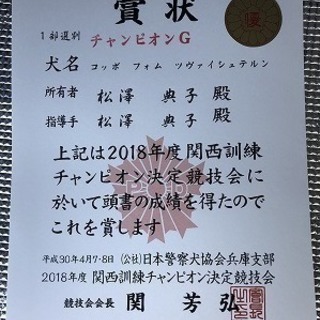 しつけ教室も始めます！神戸愛犬美容専門学院の画像
