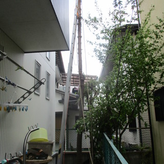 福岡高木徹去、吊り切断、狭小敷地、格安、便利屋