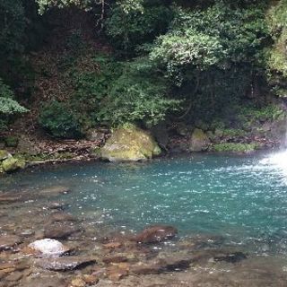 小山市での集まり