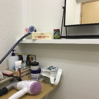 初心者サーフィンスクール♪女性店長のショップです！の画像