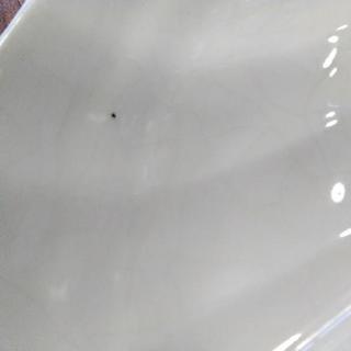 ホタテのパーテーション皿の画像
