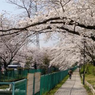 カフェで韓国語レッスン