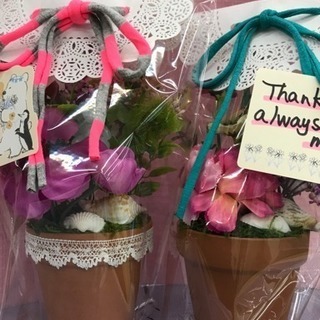 母の日に、素敵な寄せ植えを作ってみませんか❓