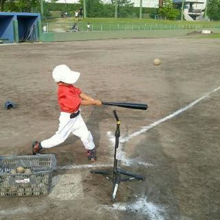 幼児、小学生の野球教室