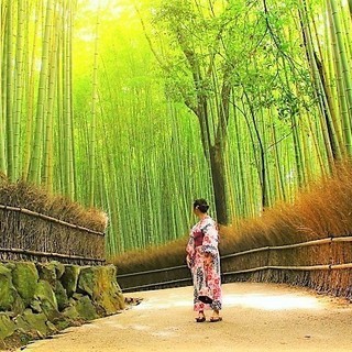 【2人入居、限定１部屋】京都・嵐山で交流しながらシェア生活しませんか？