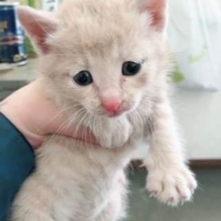 決まりましたm(__)mありがとうございますm(__)m