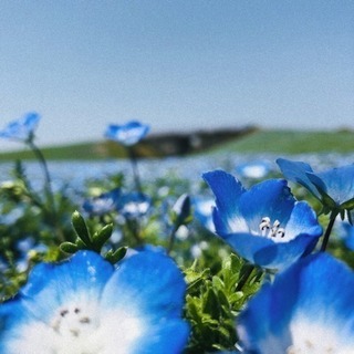 カメラ.写真好きな方＊*