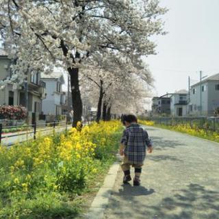 ママ友募集しています😄🎶