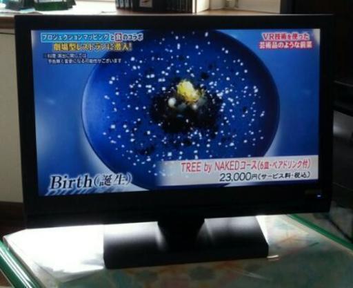 値下げ☆地上デジタル放送チューナー搭載液晶ディスプレイ18.5