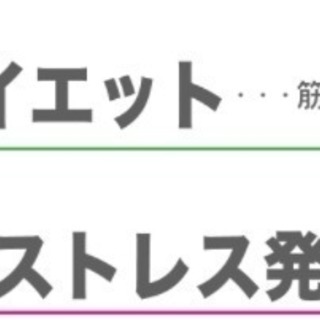 健康維持　運動しませんか？＿　キックボクシング　　初心者OK