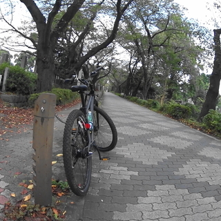 渋谷・青山裏道TOURING - スポーツ