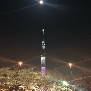 これから新宿で飲める人募集