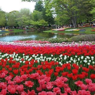 ★☆★平日お休みの方いらっしゃいますか？★☆★