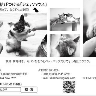 夏のお引越しフェア。1日あたり家賃1100でお家賃1か月無料！※2021年12月31日以降まで入居頂ける方限定！ - 越谷市