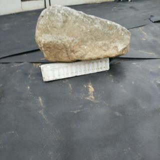 貰って下さいの画像