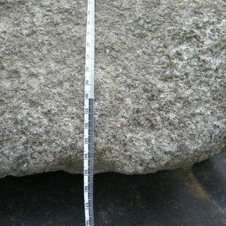 貰って下さいの画像