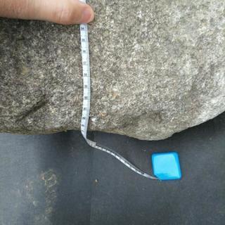 貰って下さいの画像