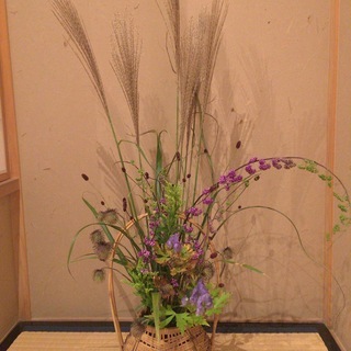 初心者向け茶道教室(四谷4丁目)の画像