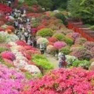 ４月２８日（土） 谷根千お散歩女子会