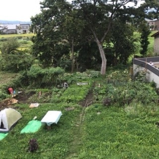 畑作業・開墾の手伝い◆日払いも可能の画像