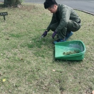 お庭の手入れ 伐採致します（所沢市 狭山市 朝霞市 新座市鶴ヶ島市〜）