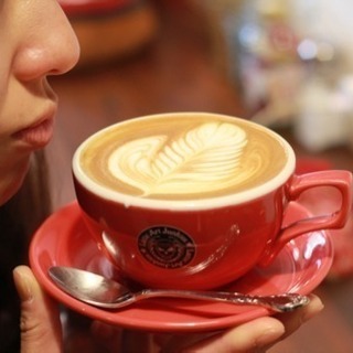 【cafe&pic】 − 京都府