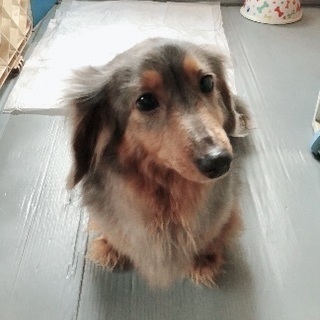 困っています。大至急！
