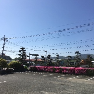 宇美町  はじめてのヨガ【木曜日9時30分〜】残り1枠の画像