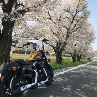 ツーリング 仲間 友達 募集してます。