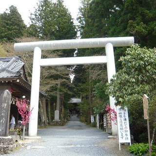 神社巡りの愛好会 - その他