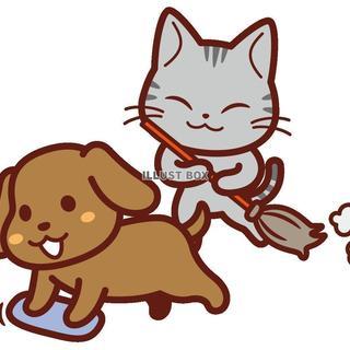 (^^;)))古民家、山荘・刻の蔵・臼杵市　母屋は６SDK・ 離れ小屋あり・駐車場5台以上・広々した庭・緑豊かな静かな自然住環境　ご相談お待ちしております(*´ω｀*)・住んでも良し・貸しても良し（´-`）.｡oO - 賃貸（マンション/一戸建て）