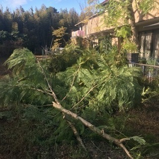 便利屋で働いてみませんか。