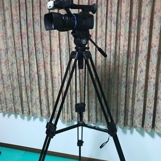 演技稽古