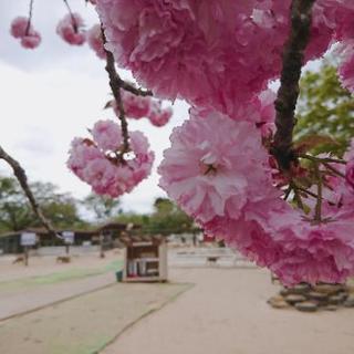 お勉強サポートします！