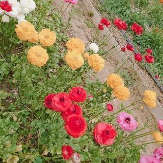 お勉強サポートします！の画像