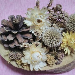✤主婦友達募集中です✤