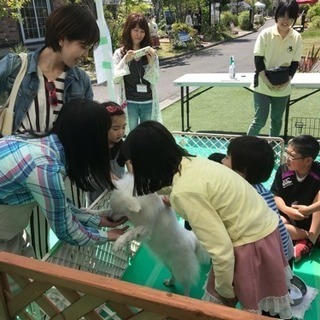 ５／４ 郡山市内 イベントスタッフ募集 日給1万円の画像