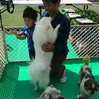 ５／４ 郡山市内 イベントスタッフ募集 日給1万円の画像