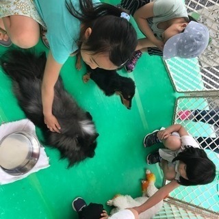 ５／４ 郡山市内 イベントスタッフ募集 日給1万円の画像