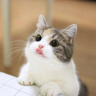ヲタク友達を募集です。