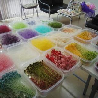 フルールアルカンシェルプロコースの画像