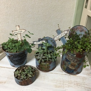 多肉植物・リメイク缶・りんご箱リメイクの花台 セットの画像