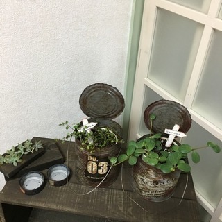 多肉植物・リメイク缶・りんご箱リメイクの花台セットの画像