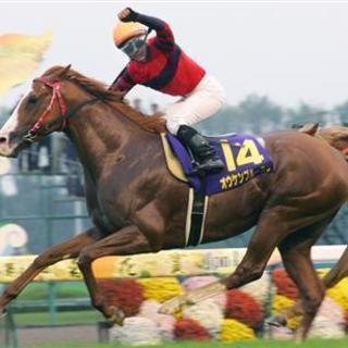 業績好調に伴い限定募集　先輩はほとんどが業界未経験！　競馬・スポ...