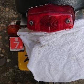 エイプ50改の画像