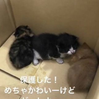 心優しい皆様。たくさんのご連絡本当にありがとうございます。