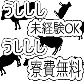 【寮費無料】【日払い可能】　車部品を作る人　20代～40代活躍中　